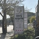 제일로유치원 | 파주 헤이리 애견동반 카페 유치원 퍼피힐 당일치기 방문 후기 (가격)