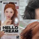 검정머리 | 미쟝센 헬로 염색 크림 웜코랄 후기｜검정머리도 탈색 없이 밝아진 코랄 베이지🧡