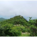 소안면-2 Daum카페