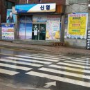 광적동물병원