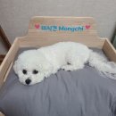 제스퍼우드공방