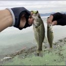 아산호로 네이버블로그