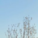 스테이담 이미지