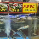 중앙시장 환승센터 | [속초중앙시장 횟집] 진미활어센터 후기
