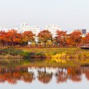 율동공원 이미지