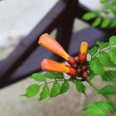 더바다앤 이미지