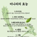 돈앤돈 | 평택 안중 미나리삼겹살 맛집 <돈앤돈> 솔직 방문 후기!
