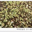 외치농장 이미지