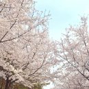 혜화 개뿔카페 서울 쇳대박물관 관람후기