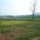 내장상동주민자치센터 이미지