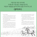 [도토리숲] 블랙 뷰티(완역본) _ 도토리숲 나와 모두의 클래식 01 이미지