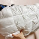 송림세탁 이미지