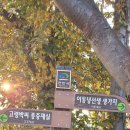 선유원갈비 이미지