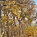 영주암유치원 이미지