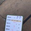 고고월드크루즈야 이미지
