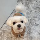 초롱미장원 이미지