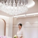Wedding. / 본식스냅-그라치아스냅 후기 (로얄파크컨벤션)