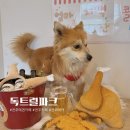 독트럴파크 이미지