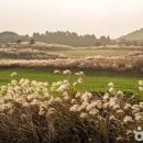 일렁이는 이미지