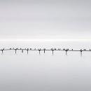 글로리어스 이미지