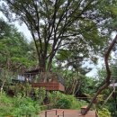 유심천건강랜드체력단련장 | 🌳 남산 하늘숲길｜아이랑, 부모님과, 데이트까지 다 되는 서울 도심 유모차 숲길 (위치·가는법·코스...