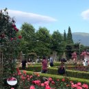 장미공원 화장실 이미지