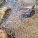 한누리공원 이미지