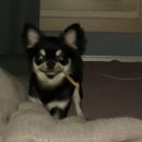 선물 for you | How can you say this is not for debatin?