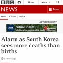세기나라
