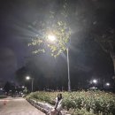 주)영암마트선운점 | 휴학일기 )) 갓생과 망생 사이 그 어딘가 •• 🛣️🚙🌪️