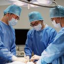 약동의 공간 이미지