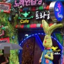 쉐이리 노래연습장 이미지