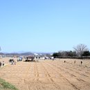 수천농장 이미지