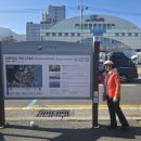 남파랑길 17코스 (고현터미널-석름봉-맹종죽테마파크-장목파출소) 251116 이미지