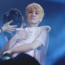 덤덤 이미지