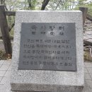 태평성대 이미지