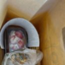 가본 | 대전역 성심당 빵 종류 설연휴 가본 후기