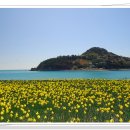 공곶이가는길 이미지