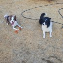 양지 농장2 이미지