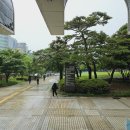 변호사김선진법률사무소