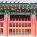팔효문 Daum카페