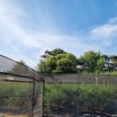 철주농장 이미지