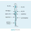 운동백서PT 이미지