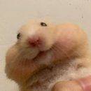 한성사 | 느좋인생(사실아님)