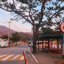해변타운민박