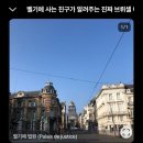 작지만 알찬 브뤼셀 여행기🧇 (1박 2일 일정 공유, 명소 소개)