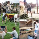 여물소농장 이미지