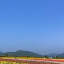 보롬제주 이미지