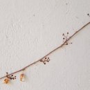 분당-판교-2129 이미지