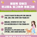 베럴독 이미지